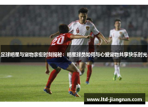 足球明星与宠物亲密时刻揭秘：明星球员如何与心爱宠物共享快乐时光